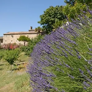 Domaine De Cousignac Frühstückspension